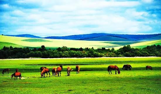 内蒙古,大自然的恩赐与文化宝藏的聚集地
