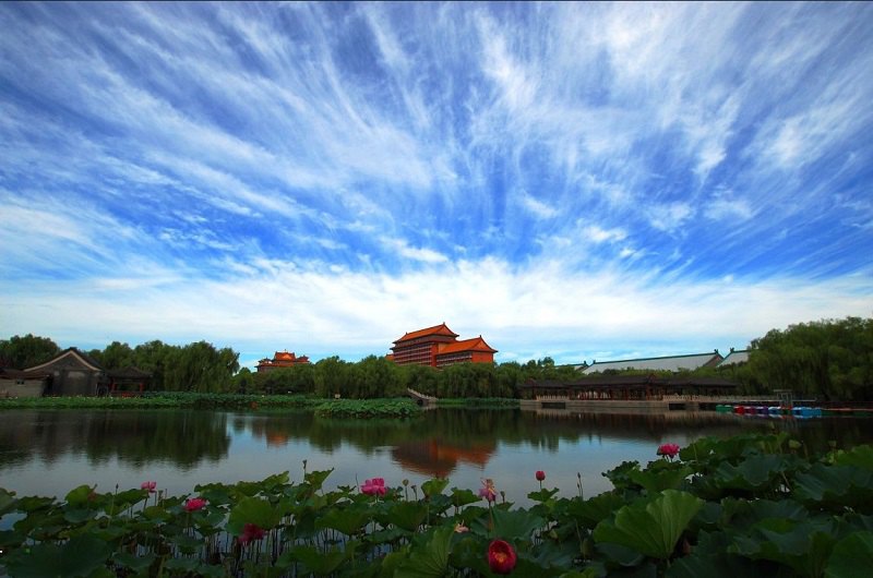 廊坊小巷风情与一家独特小店探访记