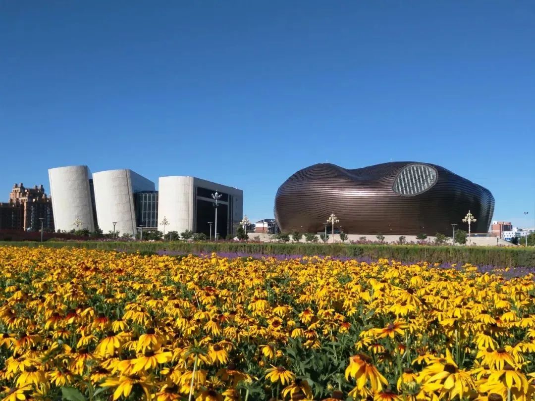 草原文明的璀璨明珠,鄂尔多斯之旅